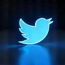 Twitter icon